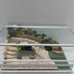 Piękne terrarium dla żółwia greckiego z piaskowcem, sztuczną trawą i kryjówkami. Idealne miejsce do eksploracji i odpoczynku.
