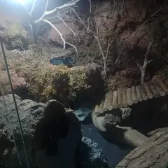 Naturalne mchy i gałęzie tworzą wilgotne środowisko. Termometr pokazuje 30.7°C, co pomaga ocenić, jak zwiększyć wilgotność w terrarium.