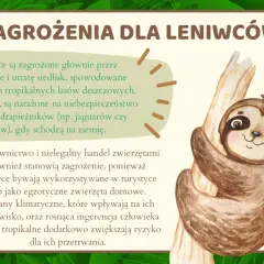 Uroczy leniwiec na drzewie. Obrazek przypomina o zagrożeniach dla leniwców, takich jak utrata siedlisk i kłusownictwo, podkreślając potrzebę ochrony tego gatunku w dzień leniwca.