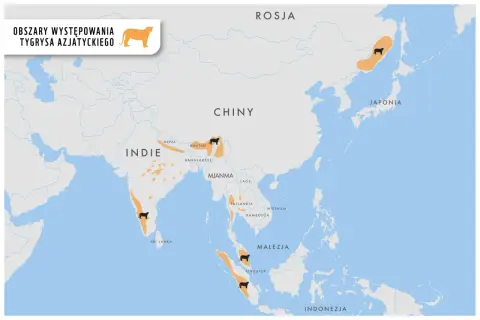 Mapa pokazuje, gdzie żyją tygrysy: Indie, Nepal, Bhutan, Bangladesz, Mjanma, Tajlandia, Malezja, Indonezja, Rosja i Japonia.