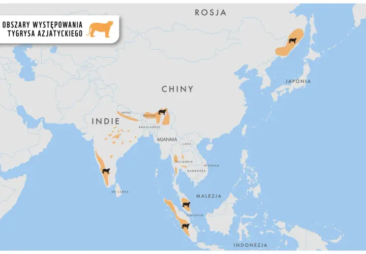 Mapa pokazuje, gdzie żyją tygrysy: Indie, Nepal, Bhutan, Bangladesz, Mjanma, Tajlandia, Malezja, Indonezja, Rosja i Japonia.