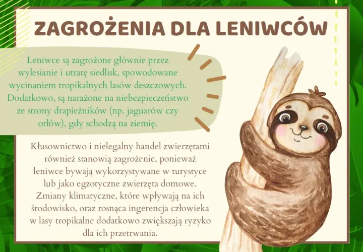 Uroczy leniwiec na drzewie. Obrazek przypomina o zagrożeniach dla leniwców, takich jak utrata siedlisk i kłusownictwo, podkreślając potrzebę ochrony tego gatunku w dzień leniwca.