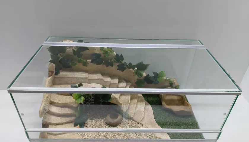 Piękne terrarium dla żółwia greckiego z piaskowcem, sztuczną trawą i kryjówkami. Idealne miejsce do eksploracji i odpoczynku.