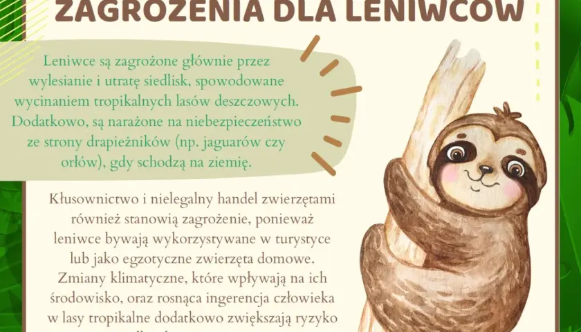 Uroczy leniwiec na drzewie. Obrazek przypomina o zagrożeniach dla leniwców, takich jak utrata siedlisk i kłusownictwo, podkreślając potrzebę ochrony tego gatunku w dzień leniwca.
