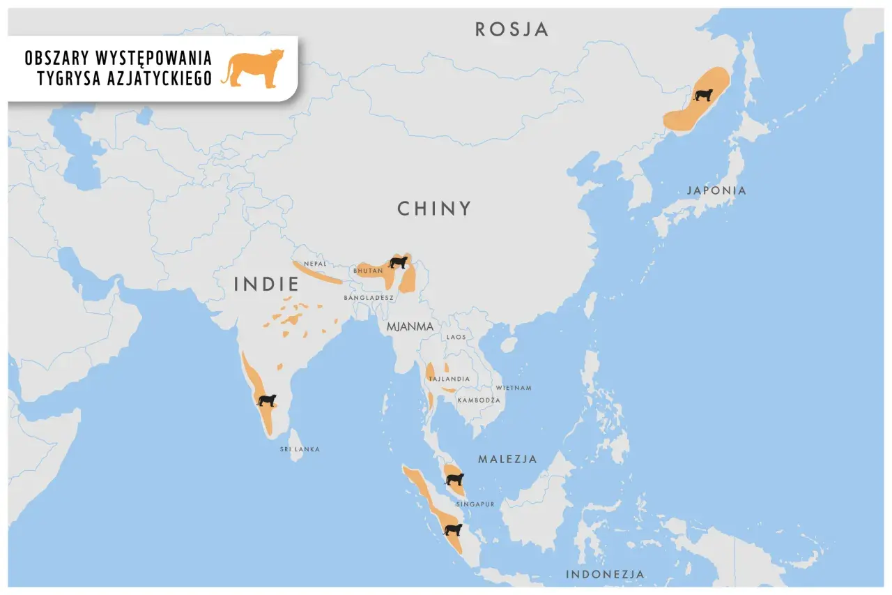 Mapa pokazuje, gdzie żyją tygrysy: Indie, Nepal, Bhutan, Bangladesz, Mjanma, Tajlandia, Malezja, Indonezja, Rosja i Japonia.