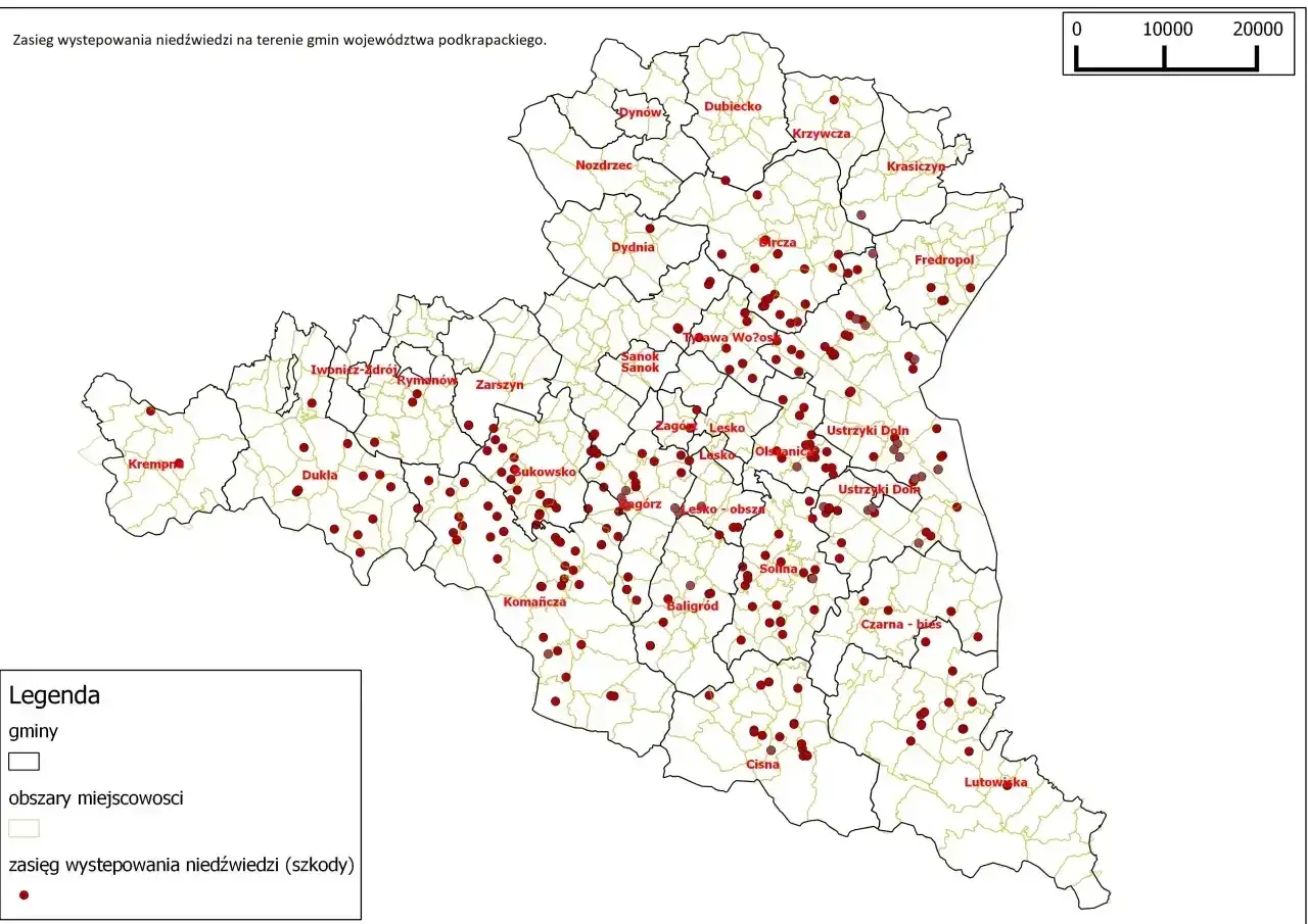 Mapa pokazuje rozmieszczenie niedźwiedzi w województwie podkarpackim, zaznaczone czerwonymi kropkami.